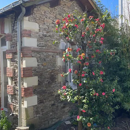 Maison Independante Cosy Avec Terrasse Privee - La Laiterie بيت ضيافة نانت