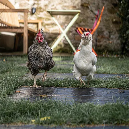 Maison Independante Cosy Avec Terrasse Privee - La Laiterie