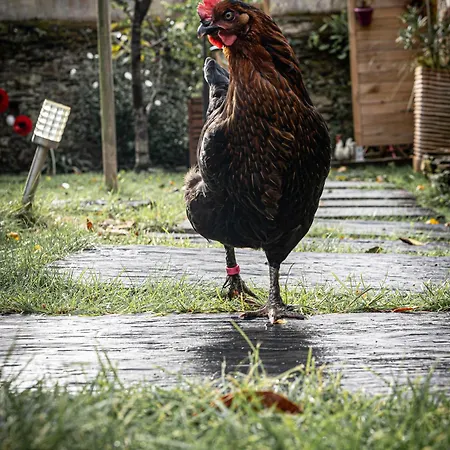 Maison Independante Cosy Avec Terrasse Privee - La Laiterie Konukevi Nantes
