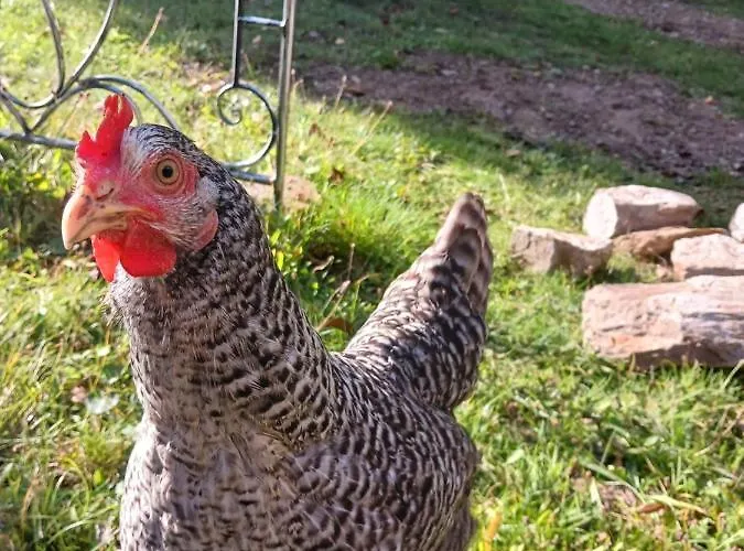 Maison Indépendante Cosy Avec Terrasse Privée - La Laiterie Maison d'hôtes Nantes