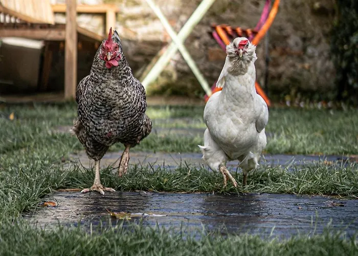 Maison Independante Cosy Avec Terrasse Privee - La Laiterie