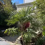 Maison Independante Cosy Avec Terrasse Privee - La Laiterie
