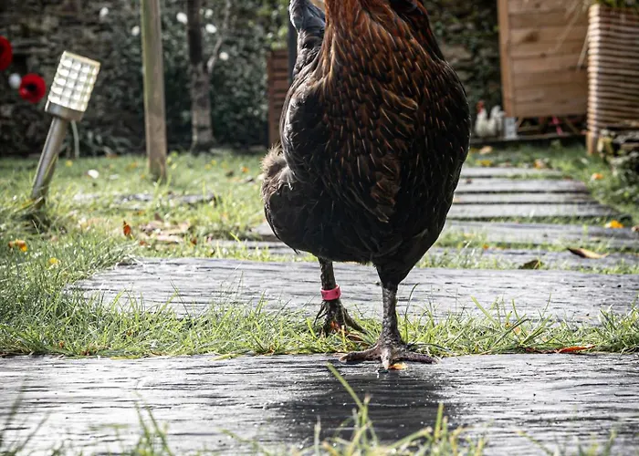 Maison Indépendante Cosy Avec Terrasse Privée - La Laiterie Maison d'hôtes Nantes